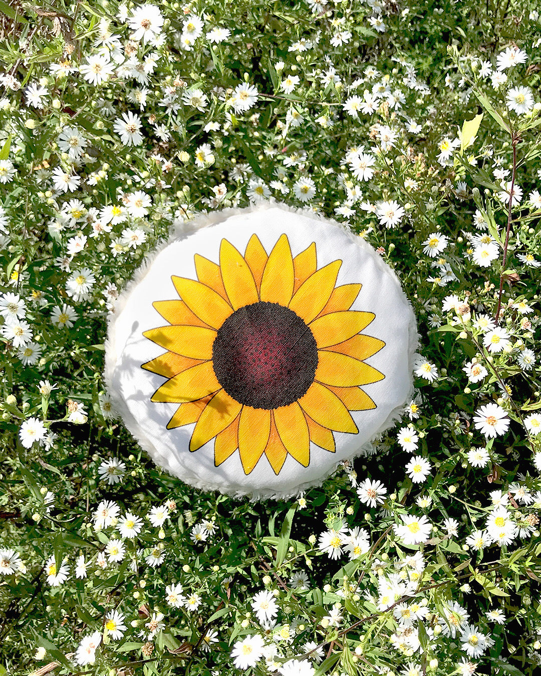 Here Comes The Sun - Eco-friendly Canvas Dog Toy