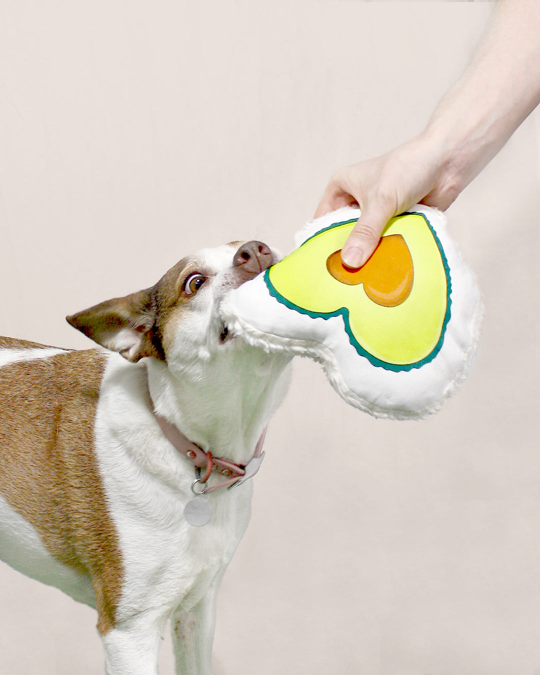 Everything They Avo Wanted - Eco-friendly Canvas Dog Toy