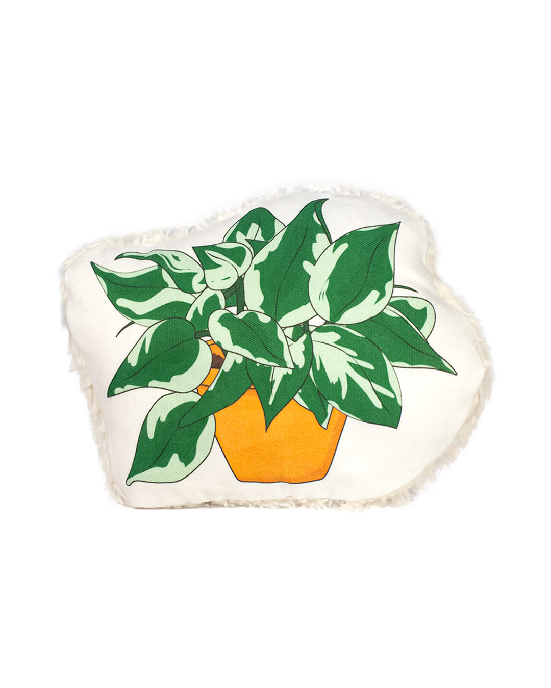 Eco-friendly dog toy shaped like a marble pothos plant in a terracotta pot. Made with durable canvas and plush cotton sherpa. All materials are non-toxic and vegan-friendly.