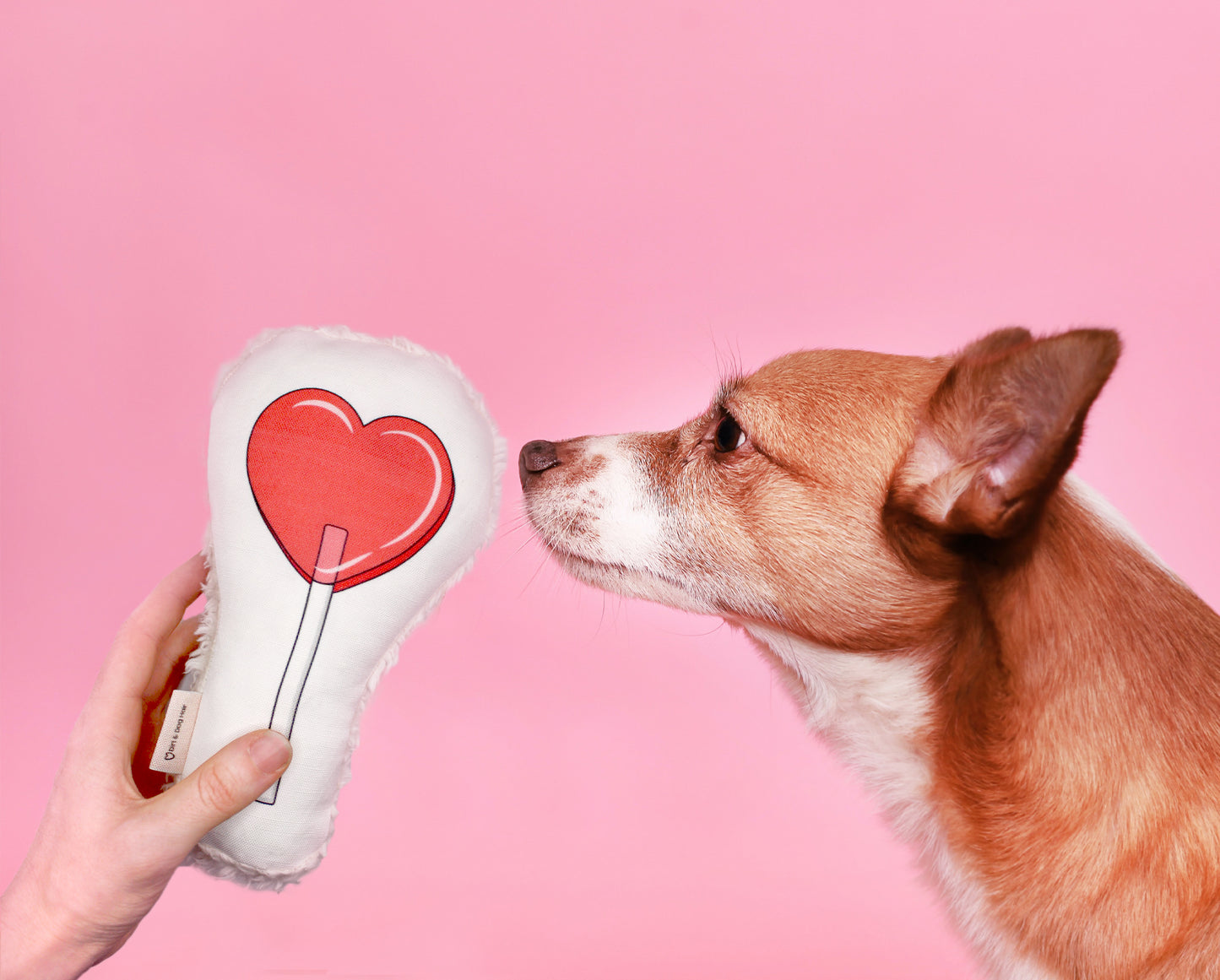 Sucker For You - Eco-friendly Canvas Dog Toy