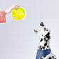 Ball Me Maybe - Eco-friendly Canvas Dog Toy