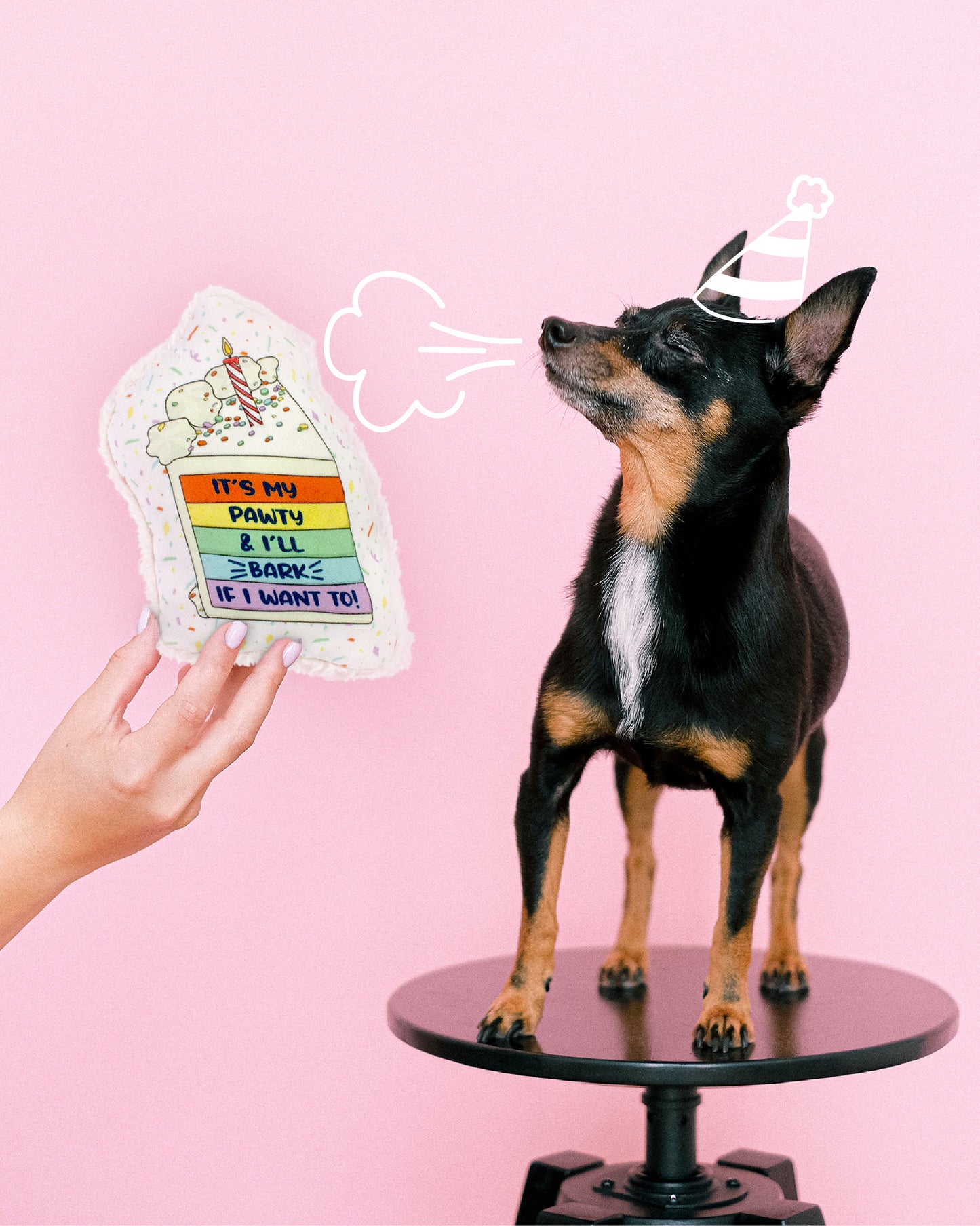Cut My Cake Into Pieces - Eco-friendly Canvas Dog Toy