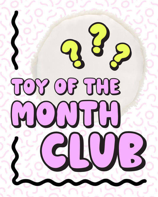 Toy Of The Month Club